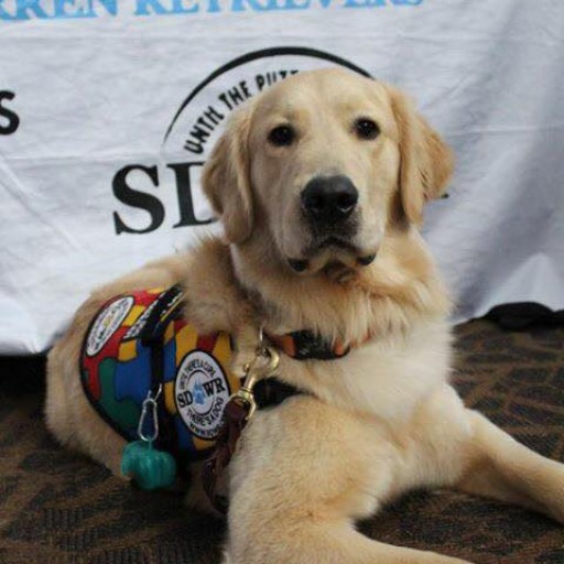 Mental Health News Radio Network Announce Strategic Sponsorship by SDWR to Promote Public Knowledge About Service Dogs